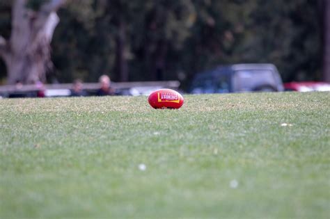 football odds afl|Upcoming AFL Odds: Aussie Rules Betting .